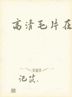 高清毛片在线