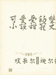 可爱受的双男主小说甜宠文
