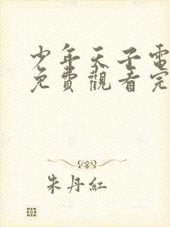 少年天子电视剧免费观看完整版高清