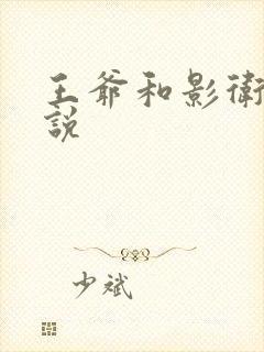 王爷和影卫的小说