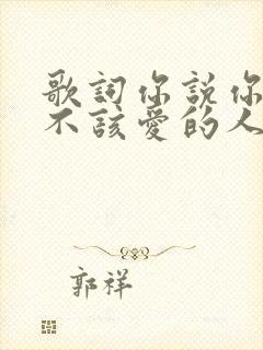 歌词你说你爱了不该爱的人是什么歌