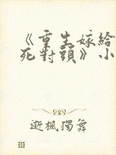 《重生嫁给前夫死对头》小说