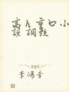 高 h 重口小说 调教