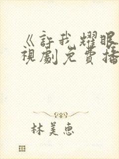 《许我耀眼》电视剧免费播放