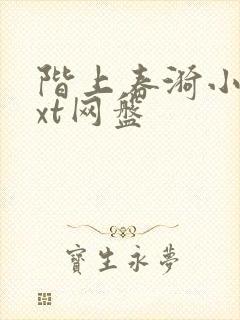 阶上春漪小说txt网盘