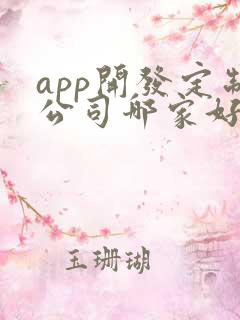 app开发定制公司哪家好一点
