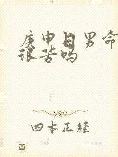 庚申日男命妻子很苦吗