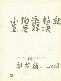 小狗激动就滴尿怎么解决