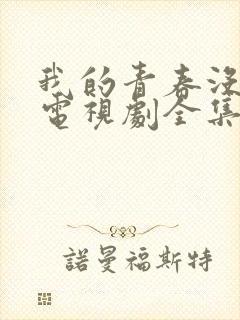 我的青春没在怕电视剧全集免费观看