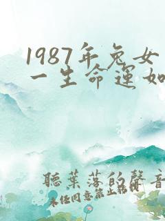 1987年兔女一生命运如何