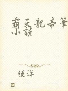 霸天龙帝笔趣阁小说