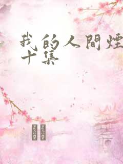 我的人间烟火三十集