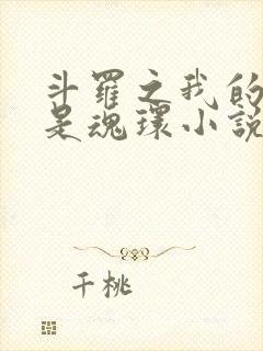 斗罗之我的武魂是魂环小说免费阅读