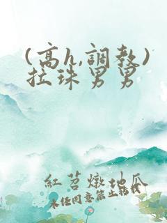 (高h,调教)拉珠男男