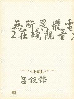 无所畏惧电视剧2在线观看免费全集国语