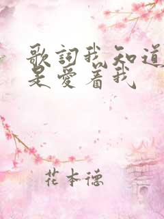 歌词我知道你还是爱着我