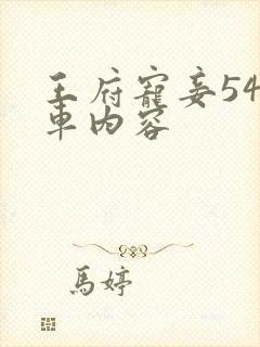 王府宠妾54火车内容