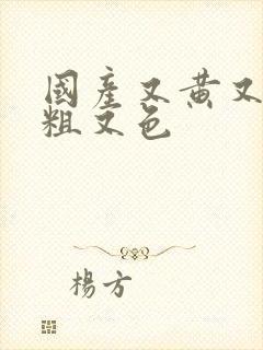 国产又黄又爽又粗又色