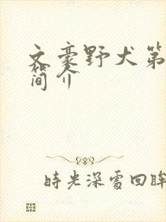 文豪野犬第五季简介