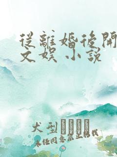 从离婚后开始的文娱 小说