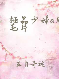 极品少妇a约人毛片