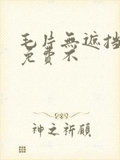 毛片无遮挡高清免费不