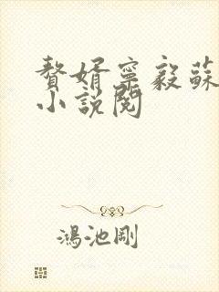 赘婿宁毅苏檀儿小说阅