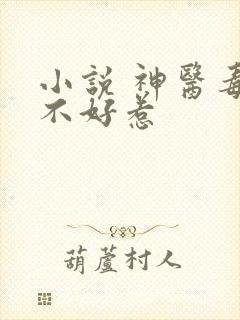小说 神医毒妃不好惹