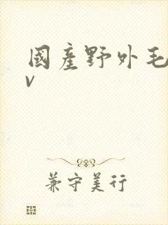 国产野外毛片av