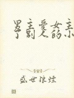 男主爱女主却娶了别人的小说