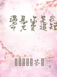 遇见你是我的宿命免费追短剧