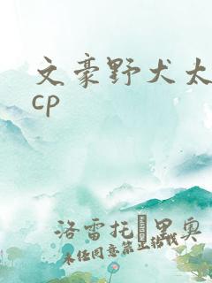 文豪野犬太宰治cp