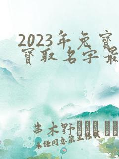 2023年兔宝宝取名字最佳字