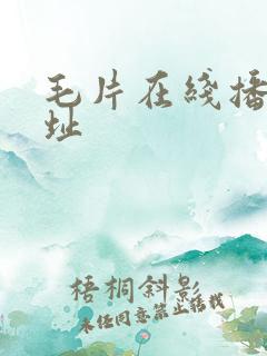 毛片在线播放地址