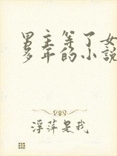 男主等了女主很多年的小说