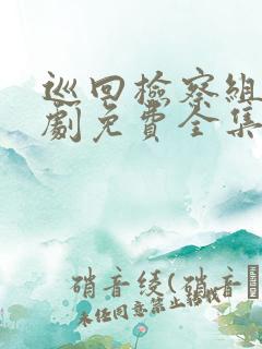 巡回检察组电视剧免费全集播放