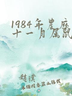 1984年农历十一月属鼠女命运