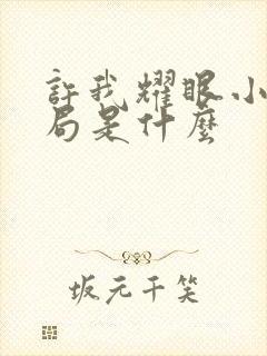 许我耀眼小说结局是什么