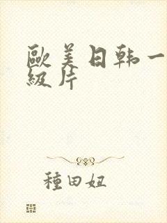 欧美日韩一级一级片