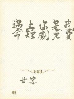 遇上你是我的宿命短剧免费观看