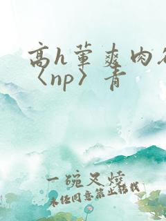 高h荤爽肉欲文〈np〉青