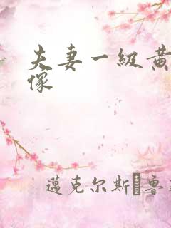 夫妻一级黄色录像