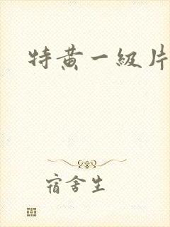 特黄一级片日本