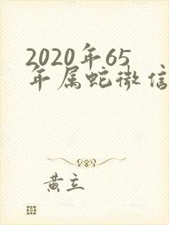 2020年65年属蛇微信头像