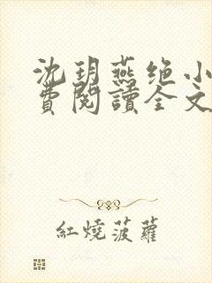 沈玥燕绝小说免费阅读全文最新章节