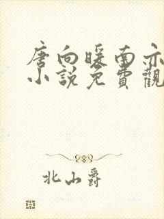 唐向暖南亦琛的小说免费观看