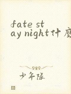 fate stay night什么时候出的