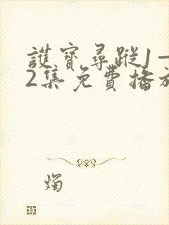 护宝寻踪1—42集免费播放