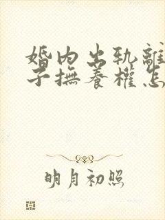 婚内出轨离婚孩子抚养权怎么判