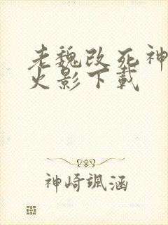 老魏改死神vs火影下载